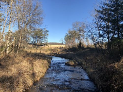 A serene stream flows through a wooded area, surrounded by bare trees and grassy banks under a clear blue sky.