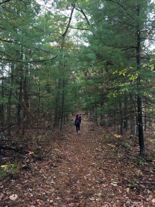 A person walking along a narrow trail through a dense forest with green trees and fallen leaves.