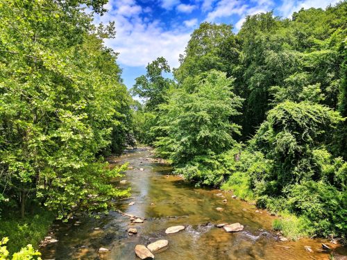 A serene river flows through lush green trees under a bright blue sky, with rocks scattered along the water's edge.