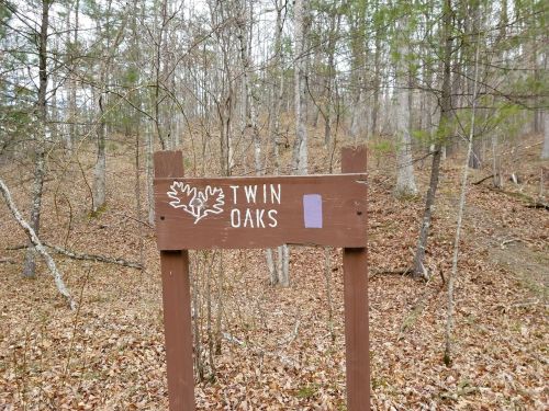 Wooden sign reading "Twin Oaks" in a forested area with leaf designs, surrounded by bare trees and fallen leaves.