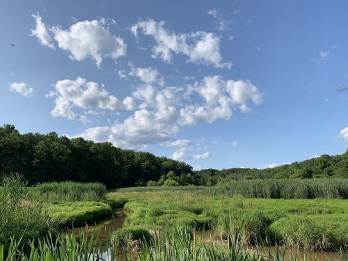 A serene landscape featuring lush green fields, a winding stream, and a blue sky dotted with fluffy white clouds.