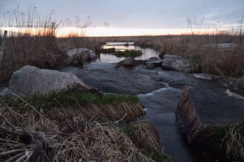 A serene stream flows over rocks, surrounded by tall grass, under a cloudy sky at sunset.