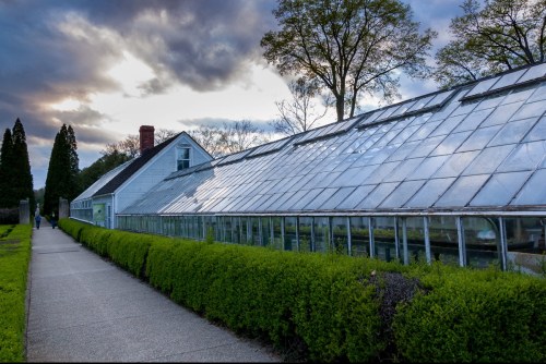 A glass greenhouse beside a paved path, surrounded by neatly trimmed hedges and trees under a cloudy sky.