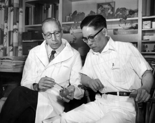 Two men in glasses, one in a lab coat, examining a small object in a laboratory setting. Books and plants in the background.