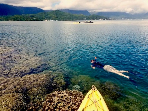 A person snorkeling in clear blue water near coral reefs, with a kayak in the foreground and mountains in the background.