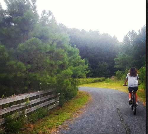 A person rides a bicycle along a winding path surrounded by trees and greenery.