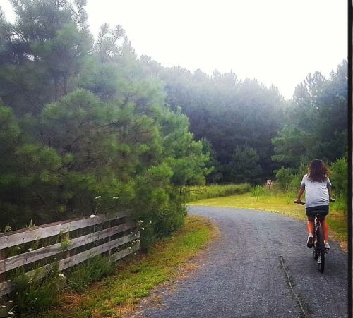 A person rides a bicycle along a winding path surrounded by trees and greenery.