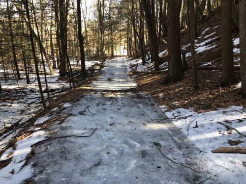 A snowy, icy path winding through a forest with trees on either side and sunlight filtering through the branches.