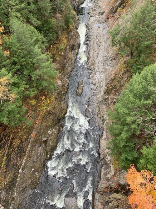 A rushing river flows through a rocky gorge, surrounded by vibrant autumn foliage and evergreen trees.