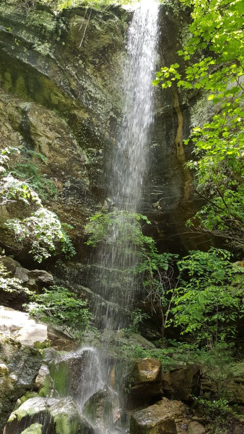 A serene waterfall cascading down a rocky cliff, surrounded by lush green foliage and natural stones.
