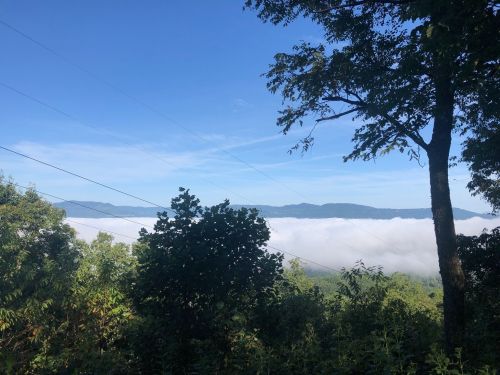 A scenic view of mountains shrouded in fog, framed by trees under a clear blue sky.