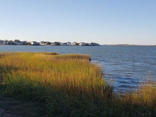 A serene view of a calm waterway bordered by tall grass, with houses visible in the distance under a clear blue sky.
