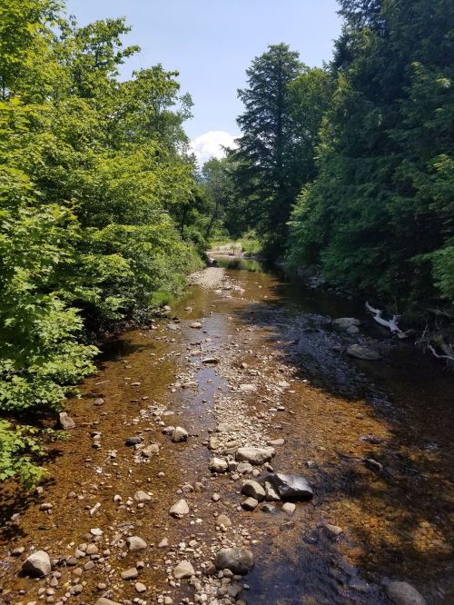 A serene river flows through a lush green landscape, with rocks visible in the shallow water under a clear blue sky.