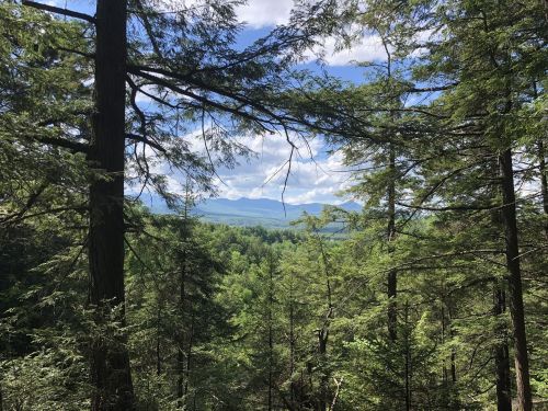 A scenic view of mountains through a dense forest, with blue skies and fluffy clouds above.