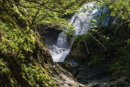 A serene waterfall cascades through lush greenery and moss-covered rocks in a tranquil forest setting.
