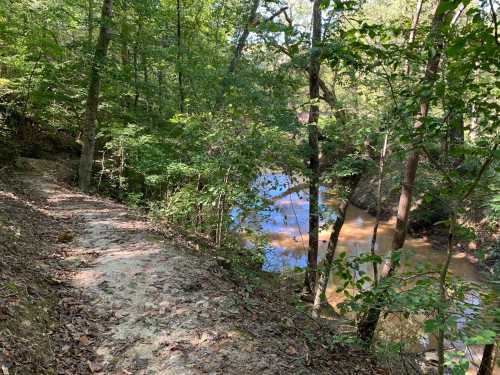 A serene forest path alongside a calm river, surrounded by lush green trees and dappled sunlight.