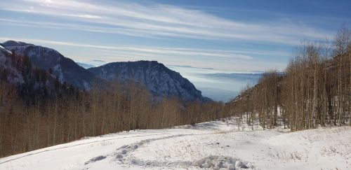 Snow-covered landscape with mountains in the background and a clear blue sky, featuring bare trees along the path.