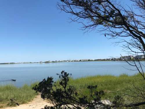 A serene view of a calm lake surrounded by greenery and distant buildings under a clear blue sky.