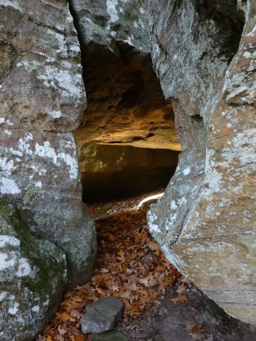 A rocky cave entrance with moss-covered walls and a path lined with autumn leaves leading inside.