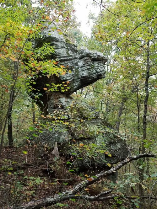 A large, moss-covered rock formation surrounded by trees and autumn foliage in a forested area.