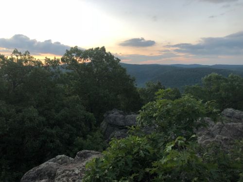 A scenic view of rolling hills and trees under a cloudy sky at sunset, with rocky foreground.