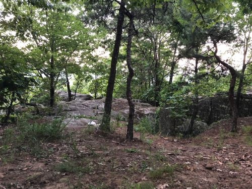 A rocky area surrounded by trees and greenery, with a natural, wooded landscape in the background.