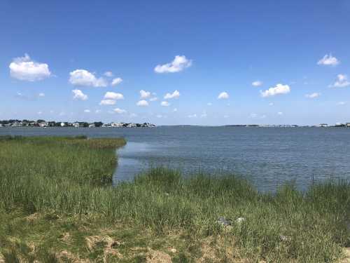 A serene view of a calm lake surrounded by green grass and dotted with fluffy clouds in a blue sky.