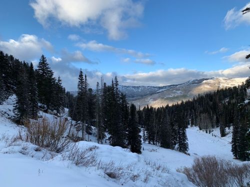 A snowy landscape with evergreen trees and mountains under a blue sky with scattered clouds.