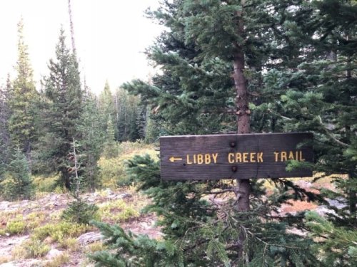 Wooden sign pointing left to "Libby Creek Trail" surrounded by tall evergreen trees and a natural landscape.