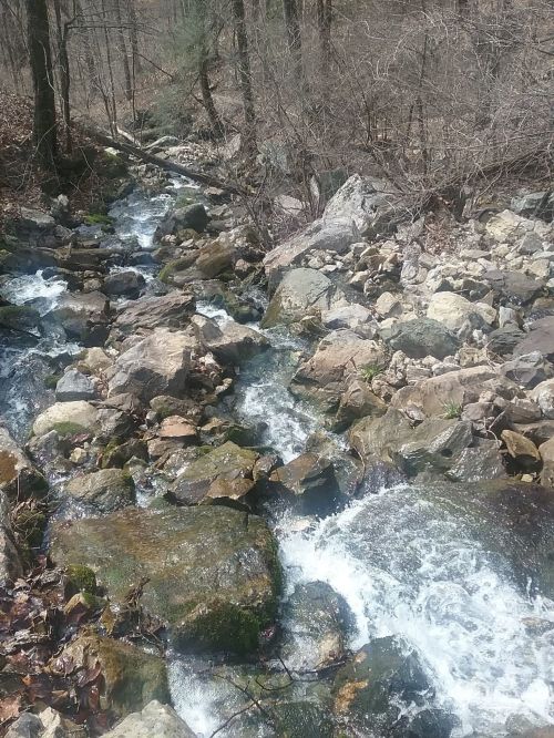 A flowing stream over rocky terrain, surrounded by trees and natural foliage in a serene forest setting.