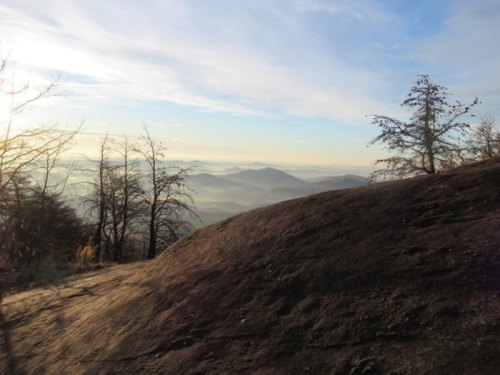 A rocky landscape with bare trees and distant mountains under a clear sky, bathed in soft morning light.