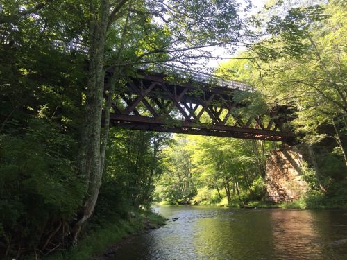 A rustic bridge spans a serene river, surrounded by lush green trees and sunlight filtering through the foliage.
