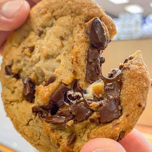 A hand holding a freshly baked chocolate chip cookie with gooey melted chocolate.