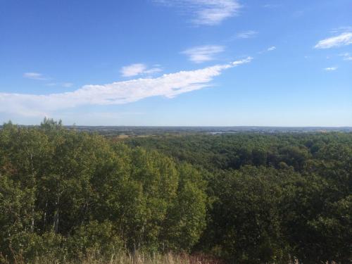 A panoramic view of lush green trees under a bright blue sky with scattered clouds.