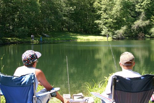 Two people sit in camping chairs by a serene pond, fishing and enjoying a sunny day surrounded by trees.