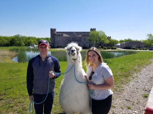 A man and woman stand with a llama in front of a large stone building and a pond on a sunny day.