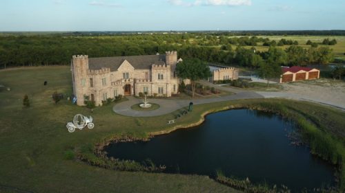 Aerial view of a castle-like building surrounded by greenery and a pond, with a carriage and outbuildings nearby.