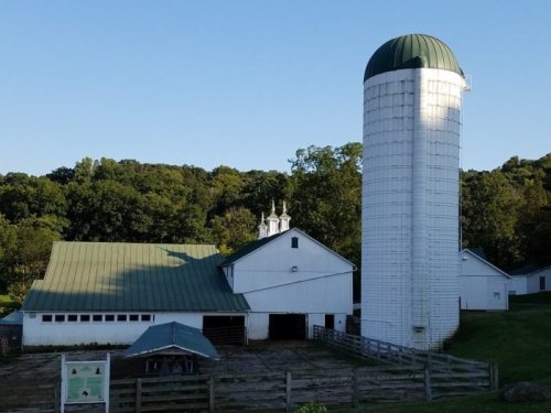 A white barn with a green roof and silo, surrounded by trees and a grassy area.