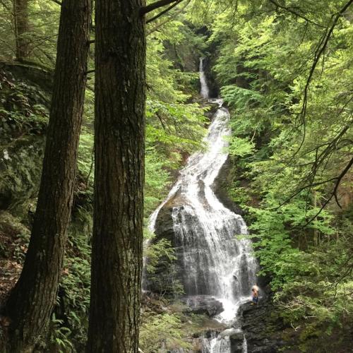 A serene waterfall cascades down rocky cliffs, surrounded by lush green trees in a tranquil forest setting.
