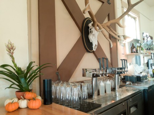 A rustic bar with a wooden counter, glassware, a plant, small pumpkins, and antlers mounted on the wall.