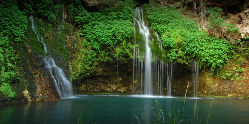 A serene waterfall cascading into a tranquil pool, surrounded by lush green foliage.