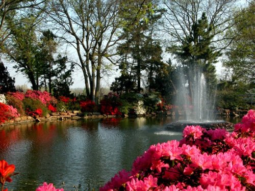 A serene garden scene featuring a pond, colorful azaleas, and a fountain surrounded by lush greenery.