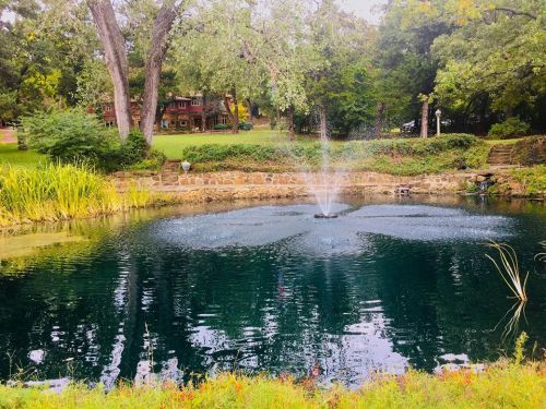 A serene pond with a fountain, surrounded by lush greenery and trees, with a rustic cabin visible in the background.
