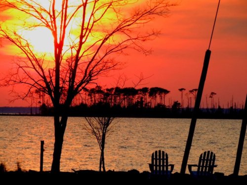 Silhouette of bare trees and two chairs by a lake at sunset, with vibrant orange and pink hues in the sky.