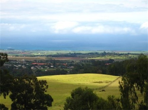 A scenic view of rolling green fields and distant hills under a cloudy sky, with a small town visible in the valley.