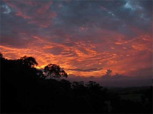 A vibrant sunset with orange and pink hues illuminating the sky, framed by dark silhouettes of trees.
