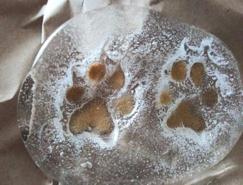 A clear resin piece with two paw prints embedded in it, resting on crumpled brown paper.