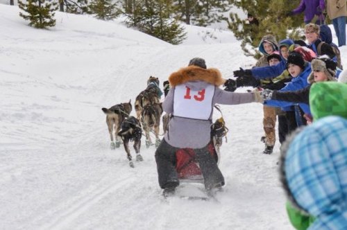 A dog sled team races through snow, while excited children reach out to the musher in a winter landscape.