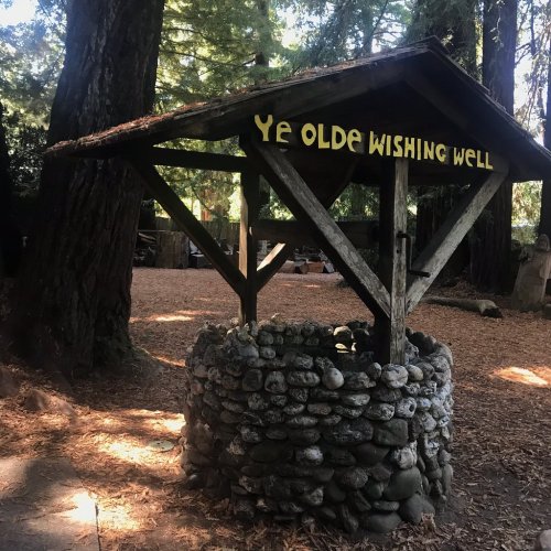 A rustic wishing well made of stones, surrounded by tall trees and fallen leaves, with a sign that reads "Ye Olde Wishing Well."
