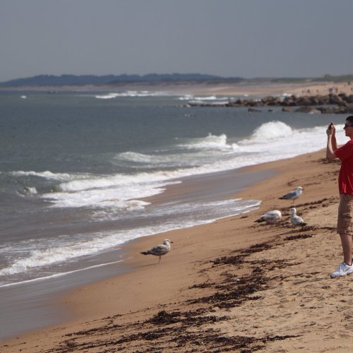 A person in a red shirt takes a photo on a sandy beach with waves and seagulls nearby.